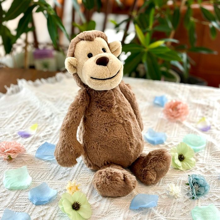 Bashful Monkey Medium02