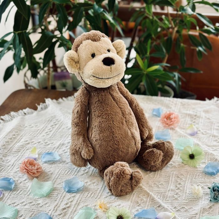 Bashful Monkey Large02