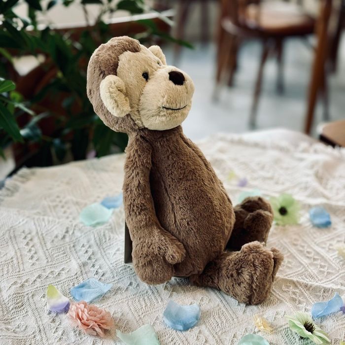 Bashful Monkey Large03