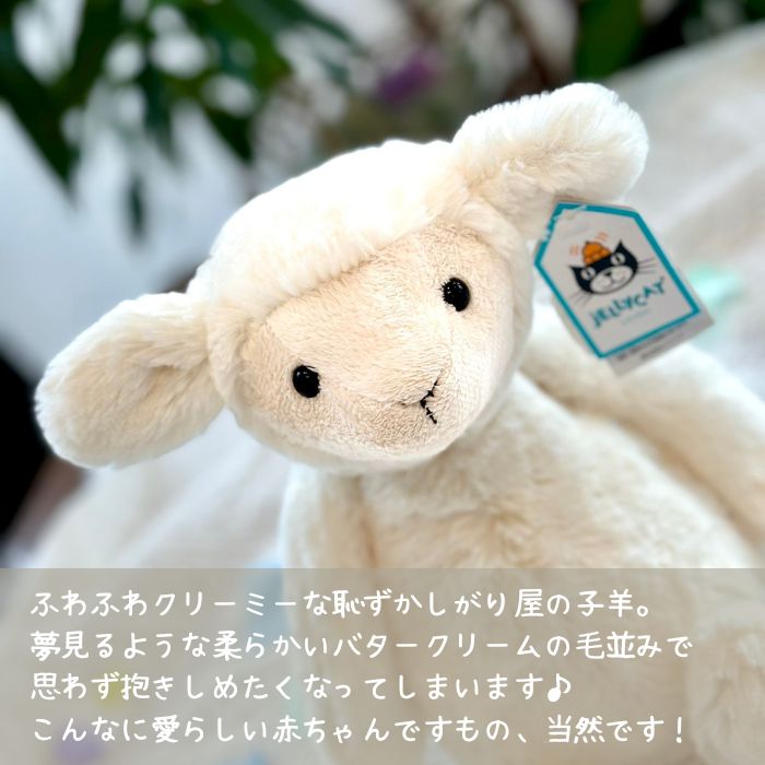 Bashful Lamb Medium01