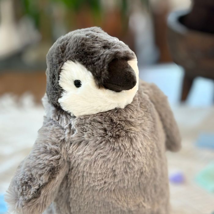 Percy Penguin Little03