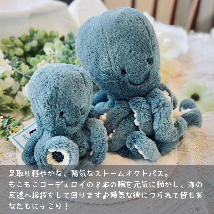 Storm Octopus Little（27cm）01