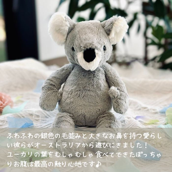 Benji Koala01