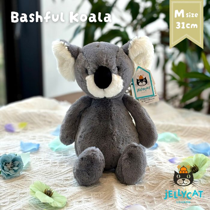 Bashful Koala Medium