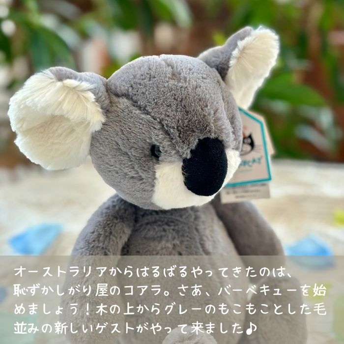 Bashful Koala Medium01