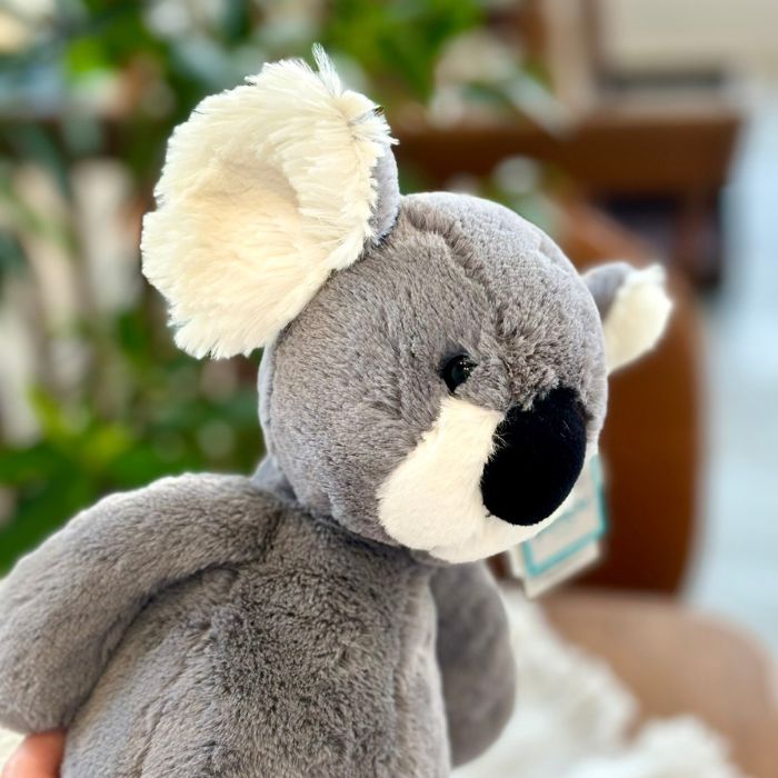 Bashful Koala Medium03