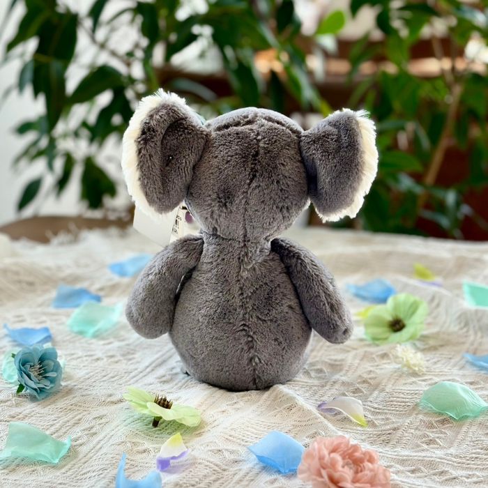 Bashful Koala Medium04