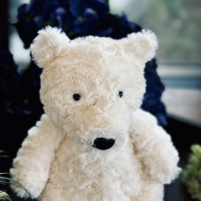 Edmund Cream Bear04