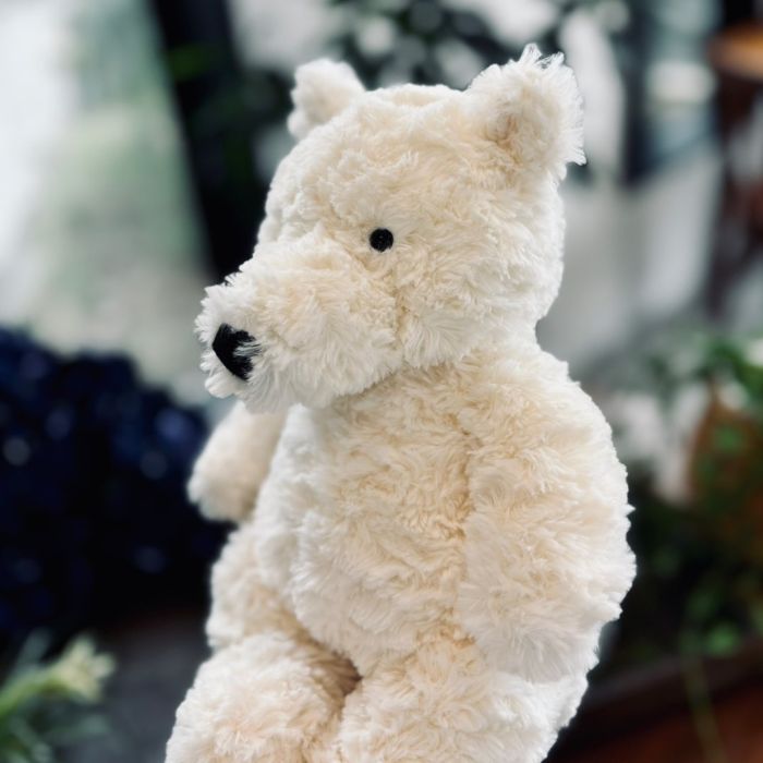 Edmund Cream Bear05