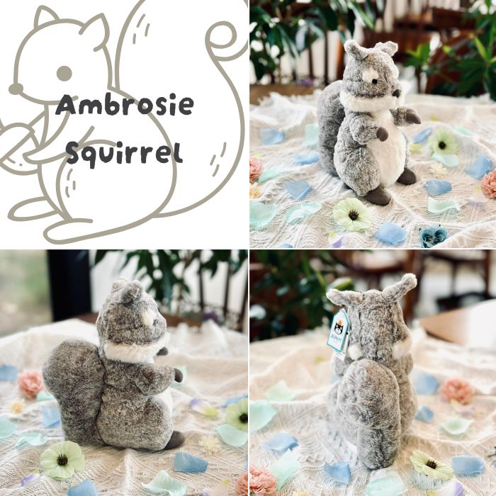 Ambrosie Squirrel04