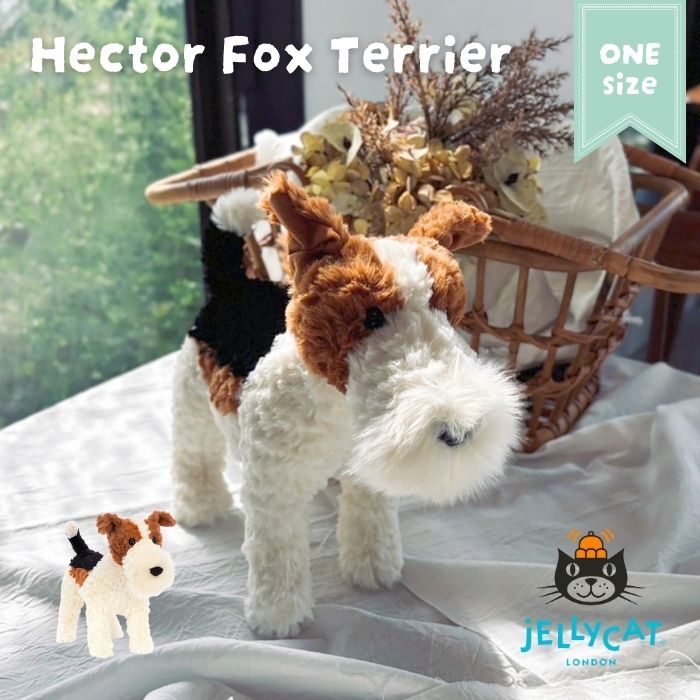 Hector Fox Terrier