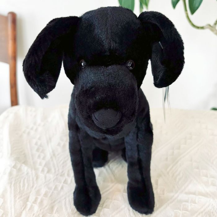 Pippa Black Labrador02