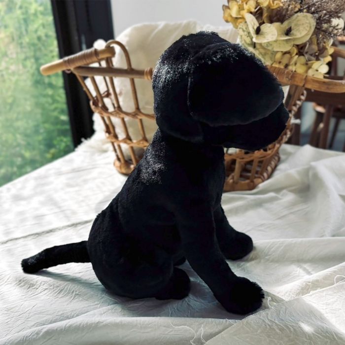 Pippa Black Labrador03