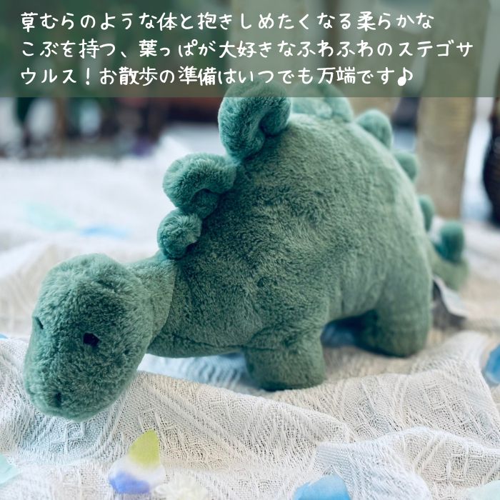 Fossilly Stegosaurus Mサイズ01