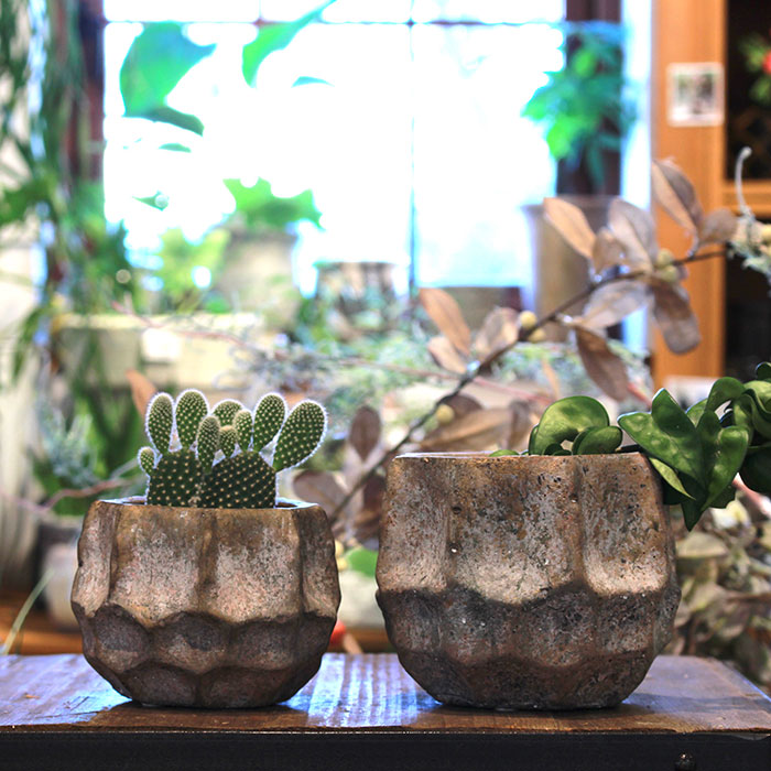 姫路市の雑貨店 Portus カフェも併設 ｔｏｄｄ 鉢カバー Sサイズ ゴールド セメント 鉢カバー 観葉植物